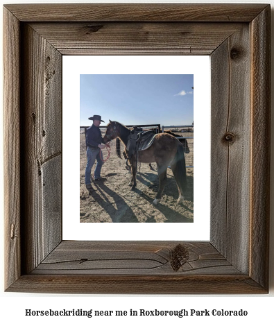 horseback riding near me in Roxborough Park, Colorado